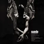 Disintegrate — Suede