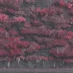Even In Arcadia — Sleep Token