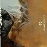 Into the gray — Annisokay